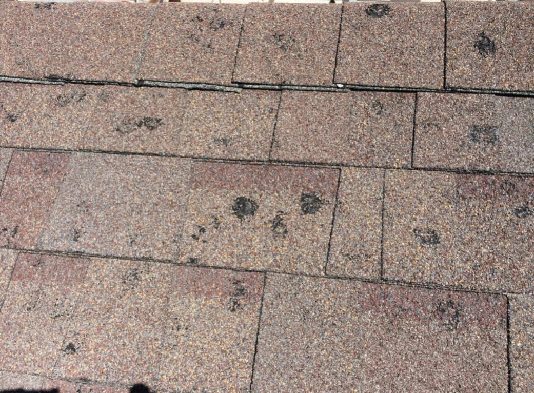 IMG_20250417_145838 Hail Damage