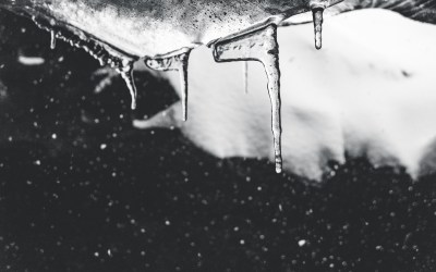 Signs of Freeze-Thaw Damage to Roof Membranes