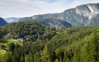 How a New Roof Boosts Colorado Home Value